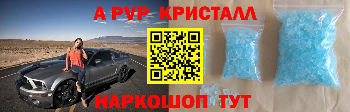 A PVP СК КРИС Белово